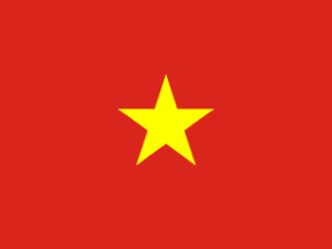 Vietnam Flag