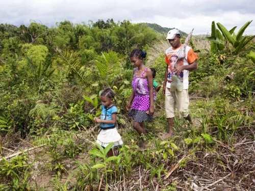 Vaviroa, Rosoa, Nambinina and Dest of Madagascar