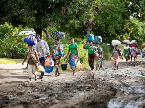Patients travel from patient shelter to the hospital.